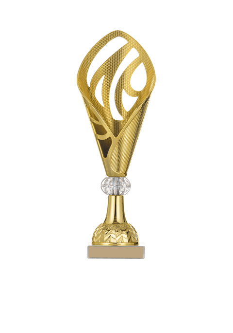 https://www.poznanweightlifitng.com/wp-content/uploads/2022/11/trophy_03.png