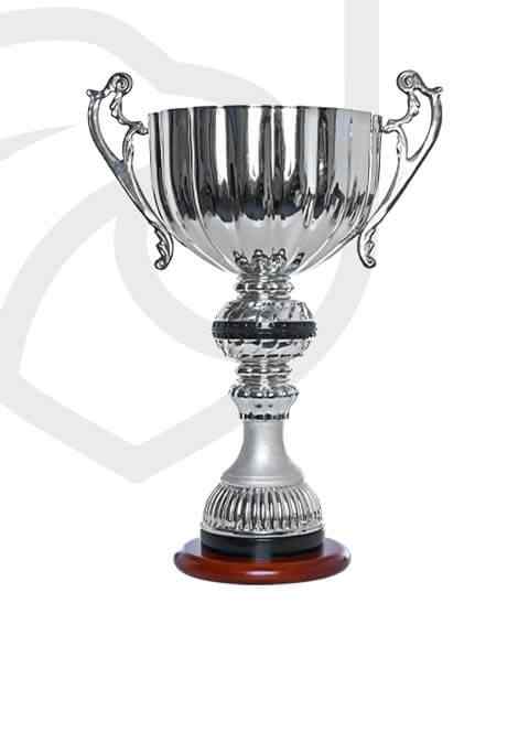 https://www.poznanweightlifitng.com/wp-content/uploads/2022/11/trophy_overlay_01.jpg