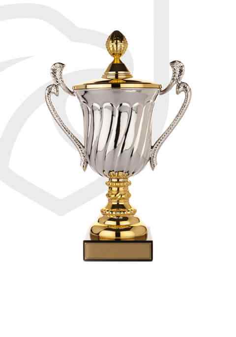 https://www.poznanweightlifitng.com/wp-content/uploads/2022/11/trophy_overlay_02.jpg