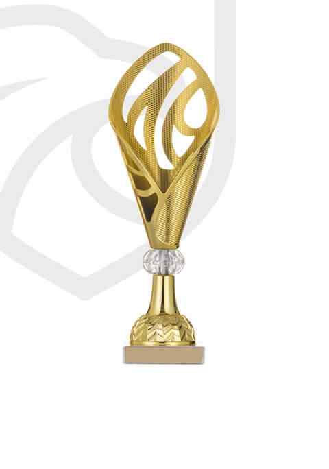 https://www.poznanweightlifitng.com/wp-content/uploads/2022/11/trophy_overlay_03.jpg